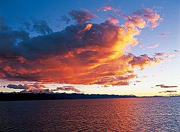 任天堂鼓励《超级马里奥：惊奇》开发者自由创作