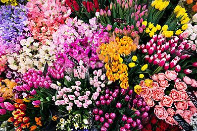 《黄泉：孤岛惊魂》Steam发售 真人互动式电影体验